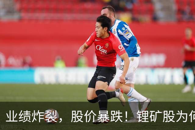 业绩炸裂，股价暴跌！锂矿股为何集体"见光死"？！